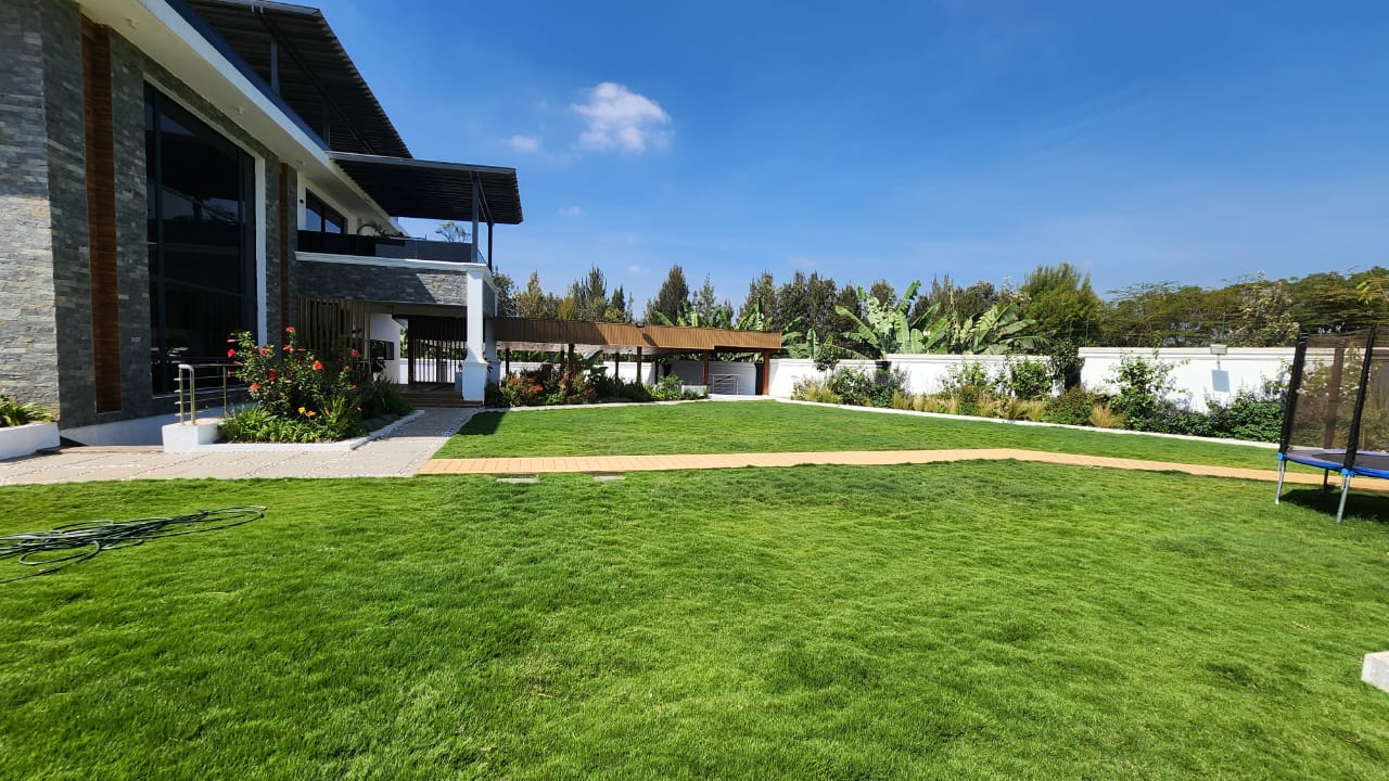 Paving and landscaping